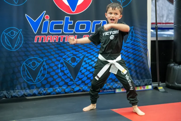 Boy Showing Off His Karate Skills in Deer Springs, Nevada