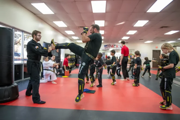 Young Children's Karate Workshops in Hunter's Creek, Florida