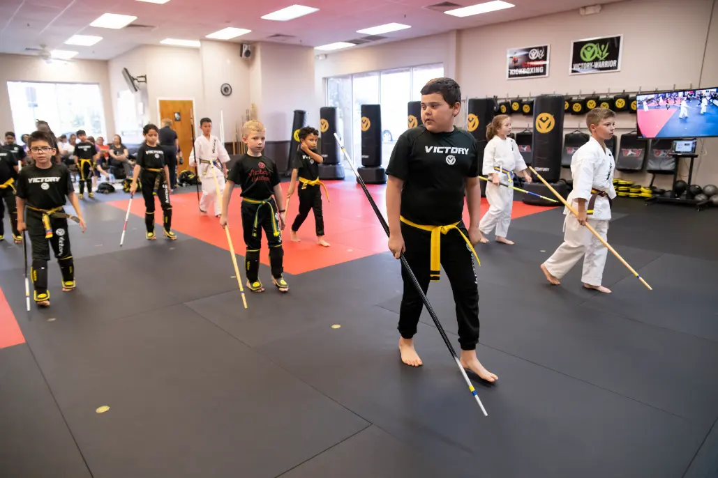 Youth Karate Belt Ranks in Grand Canyon Victory Martial Arts Tips