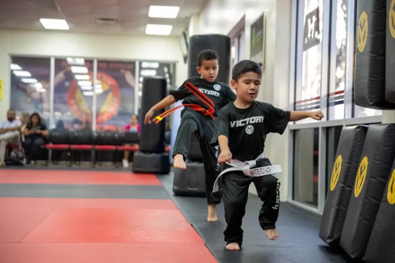 Two Boys Having Fun at Youth Karate Programs in Hunter's Creek, Florida